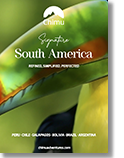 chile tourism brochure